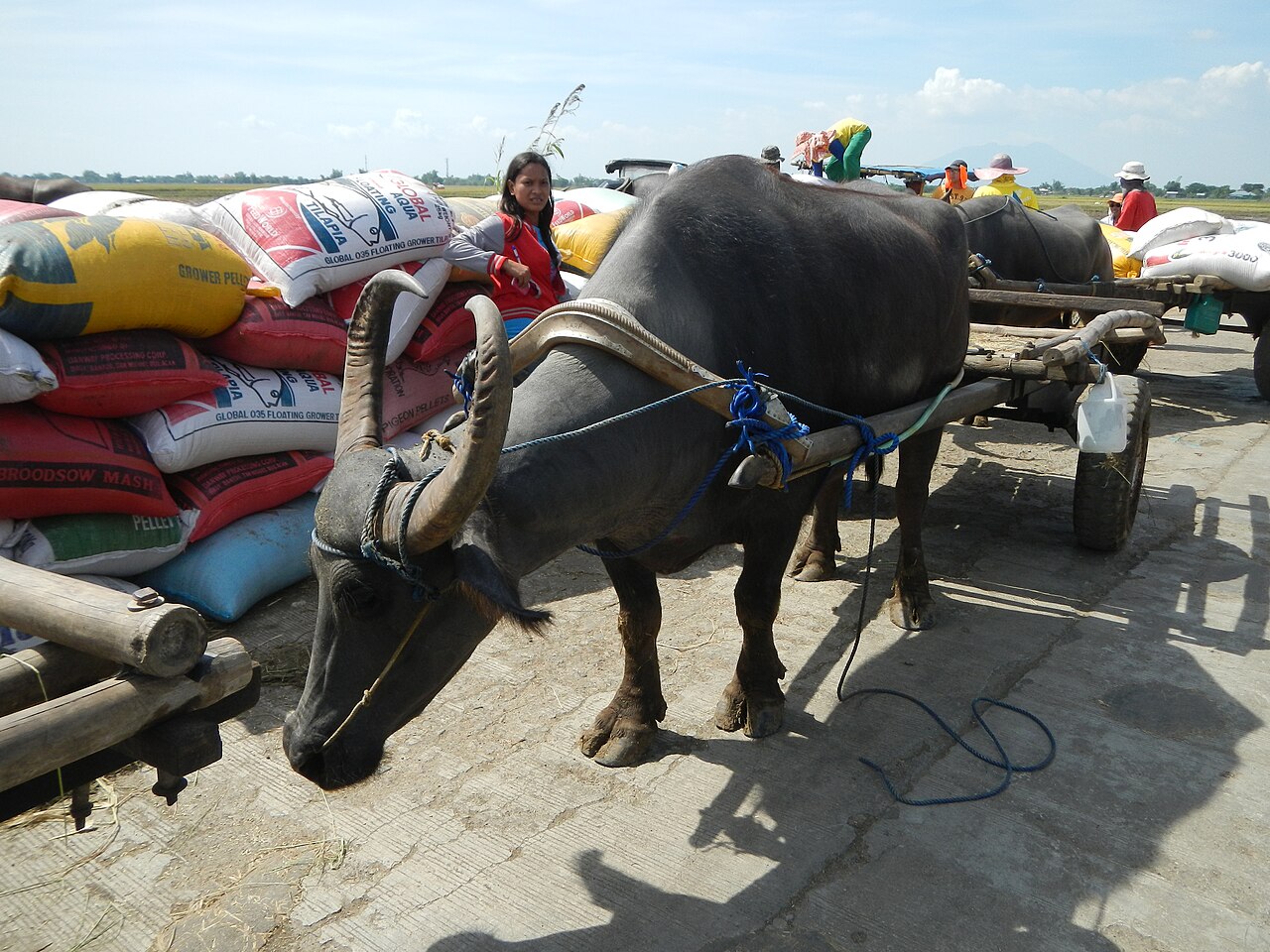 เครื่องชั่งรถบรรทุกสำหรับธุรกิจรับซื้อผลผลิตและวัสดุก่อสร้าง